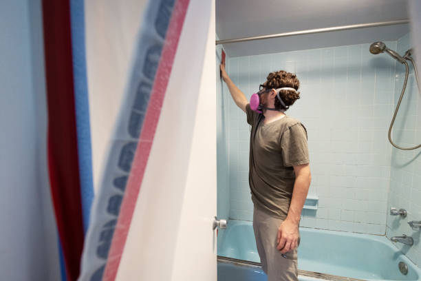 Best Black Mold Removal  in Lford, MI