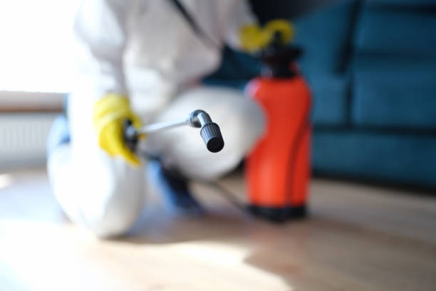 Reliable Milford, MI Mold Removal Solutions