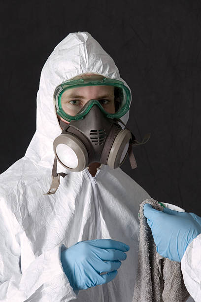 Best Basement Mold Removal  in Lford, MI